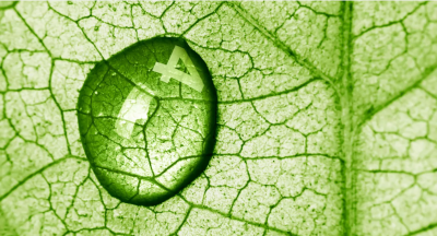 Close up photo of a green leaf with a water droplet in it